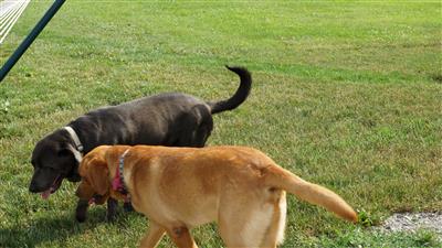 Corporal Red Ruger Nowicki and Gunner