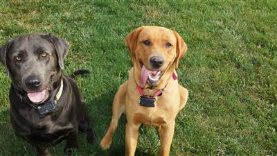 Corporal Red Ruger Nowicki and Gunner