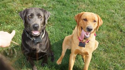 Corporal Red Ruger Nowicki and Gunner