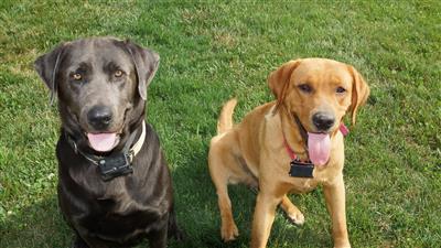Corporal Red Ruger Nowicki and Gunner
