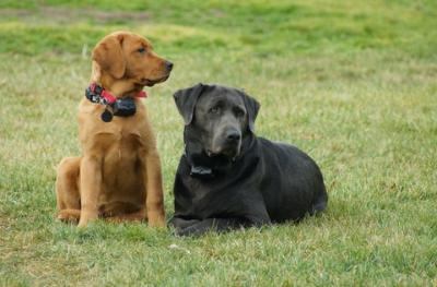 Corporal Red Ruger Nowicki and Gunner