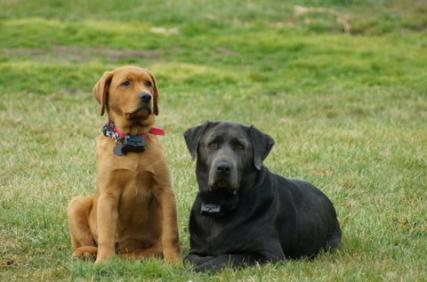 Corporal Red Ruger Nowicki and Gunner