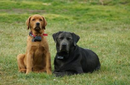 Corporal Red Ruger Nowicki and Gunner