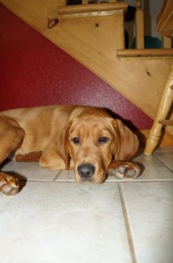 Corporal Red Ruger Nowicki