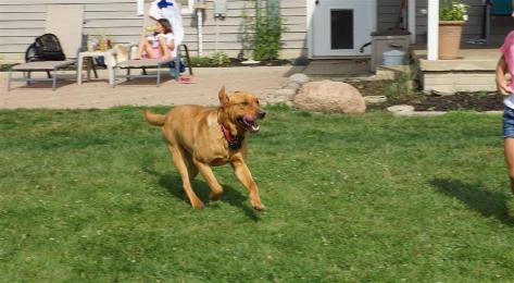 Corporal Red Ruger Nowicki and Gunner