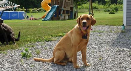 Corporal Red Ruger Nowicki